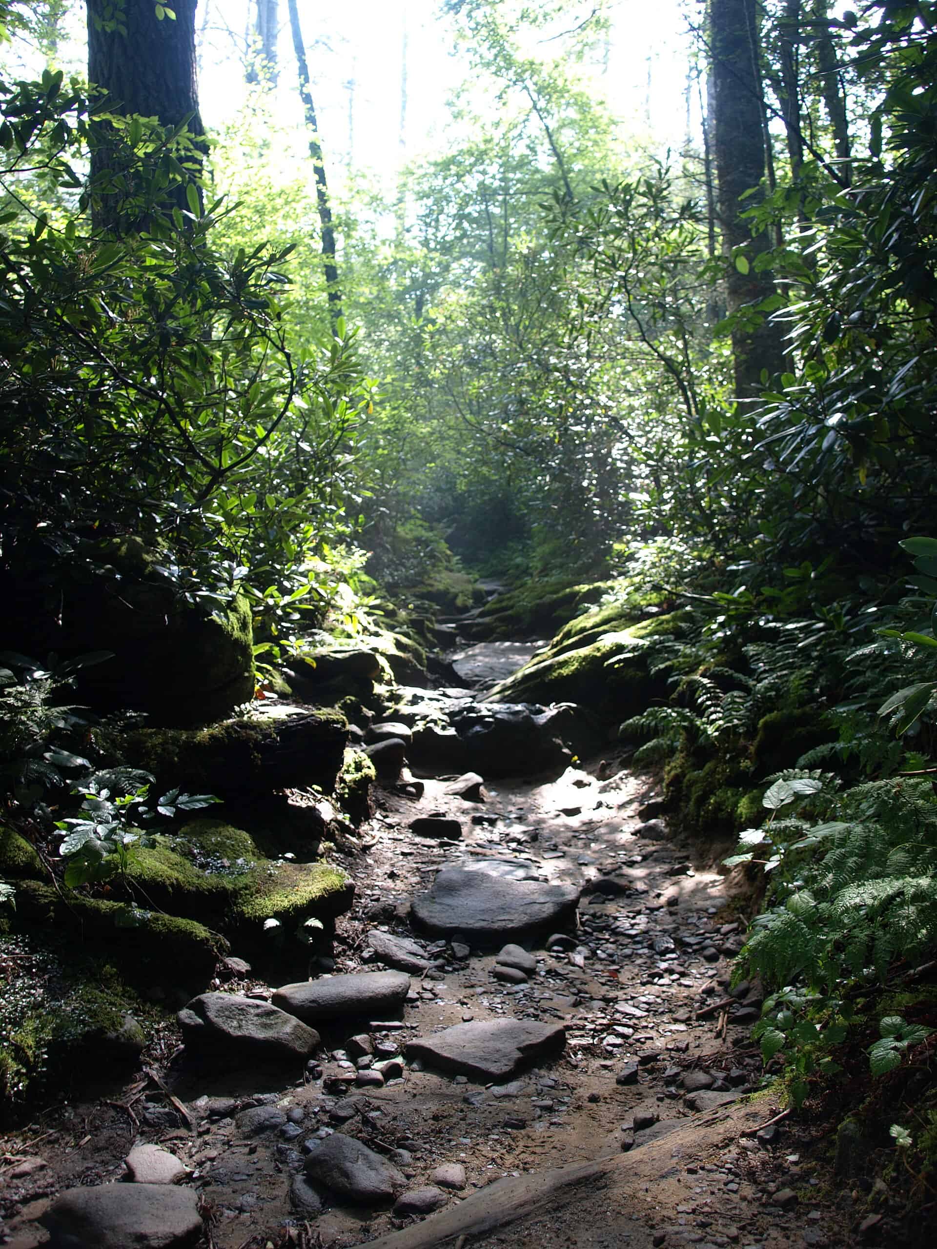 Cataract Falls