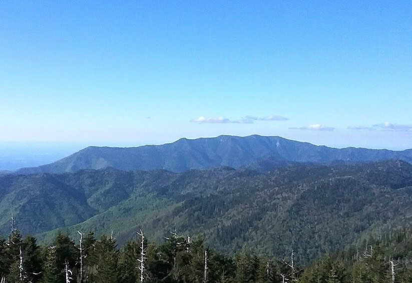 Dog-Friendly Hikes Near Gatlinburg
