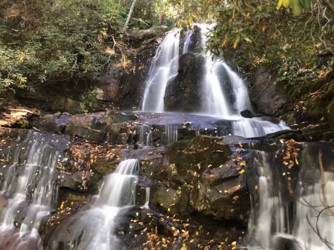 Easy waterfall hikes near Gatlinburg for families