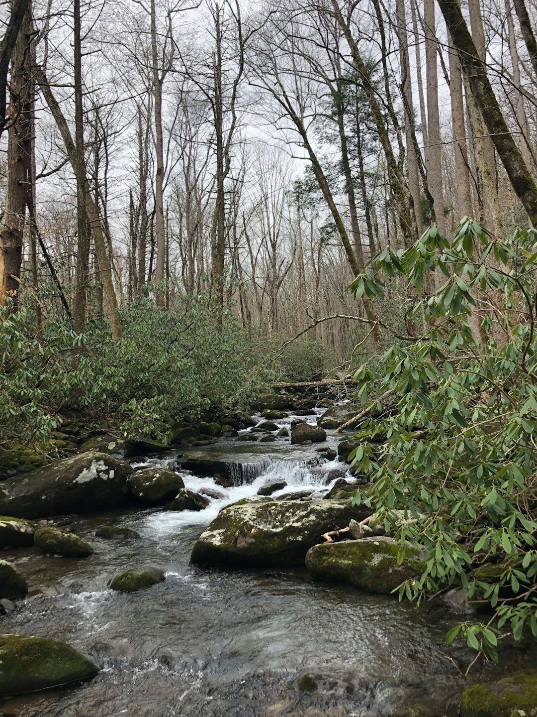 Easy waterfall hikes near Gatlinburg for families