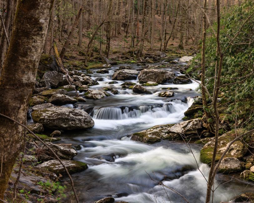 Gatlinburg moonshine tasting fee
