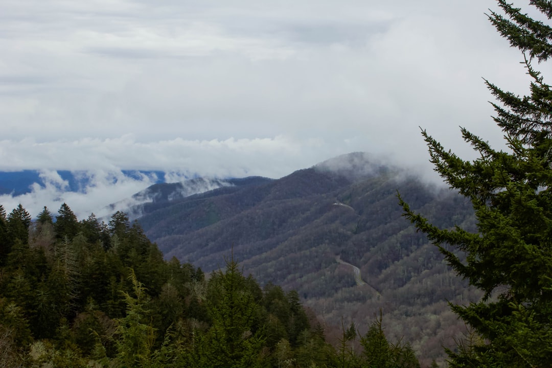 Gatlinburg vs Pigeon Forge for young kids