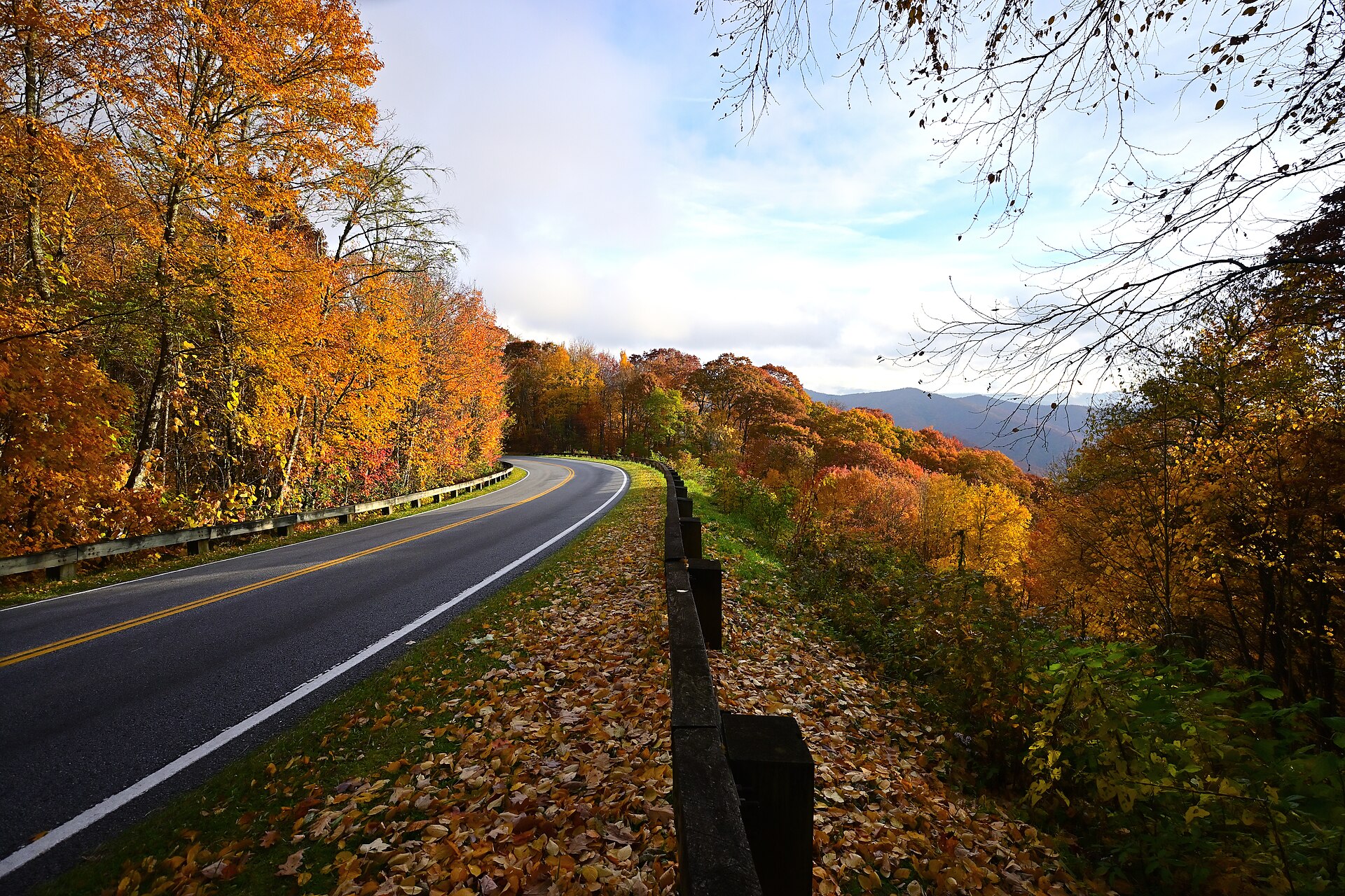 Newfound Gap Road