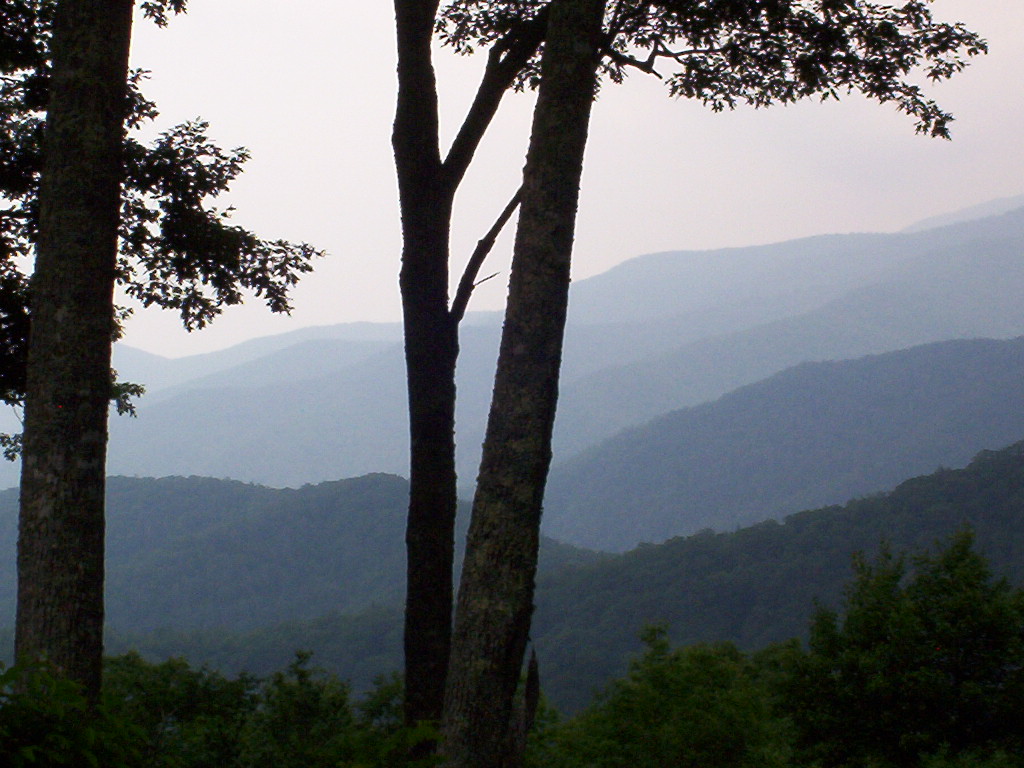 Secluded Honeymoon Cabins in the Smokies