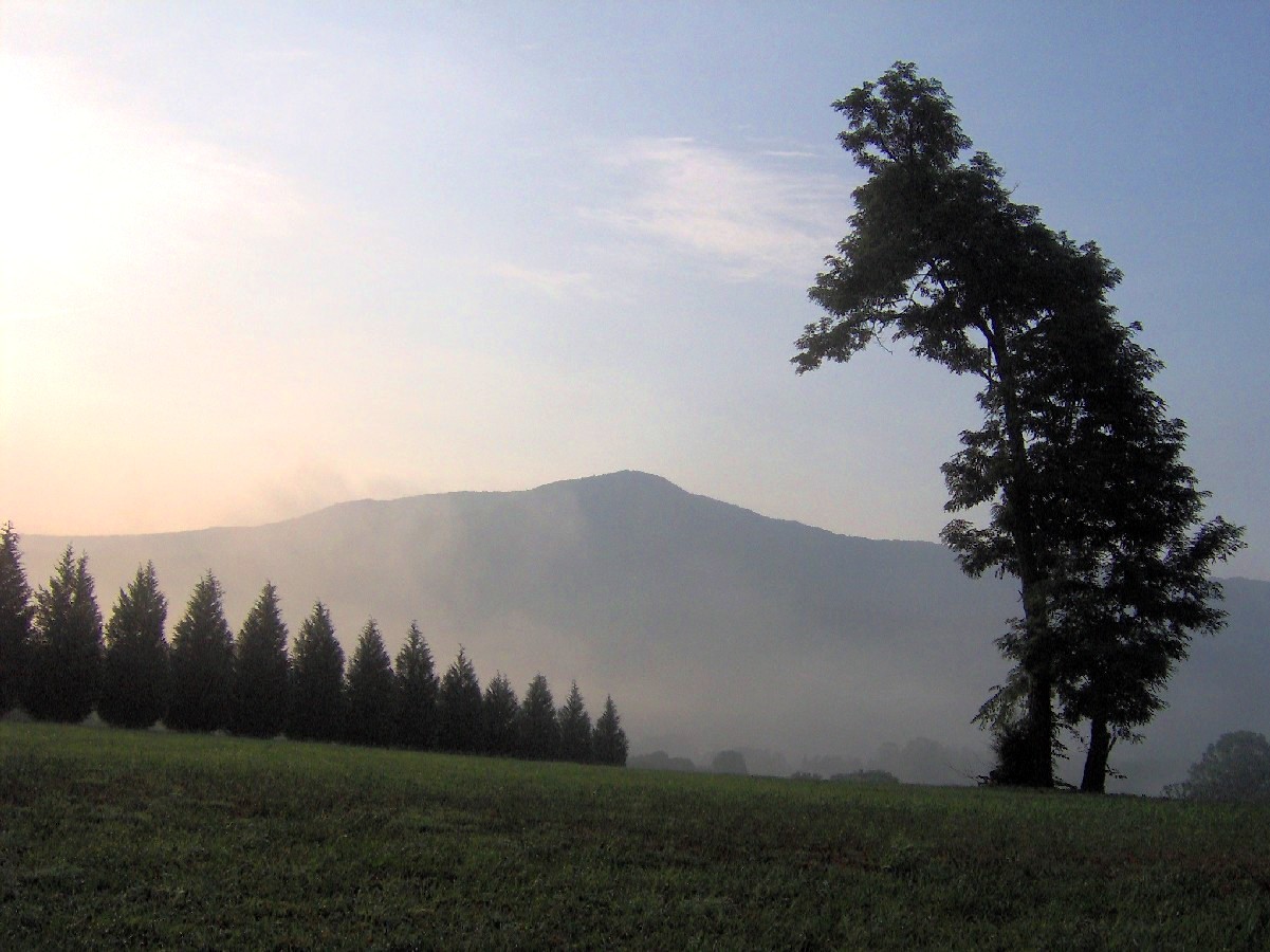 Wears Valley, Tennessee