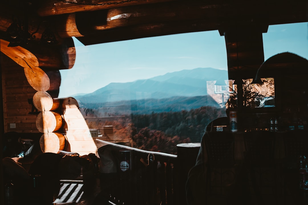 Wood-Burning vs Gas Fireplace Cabins