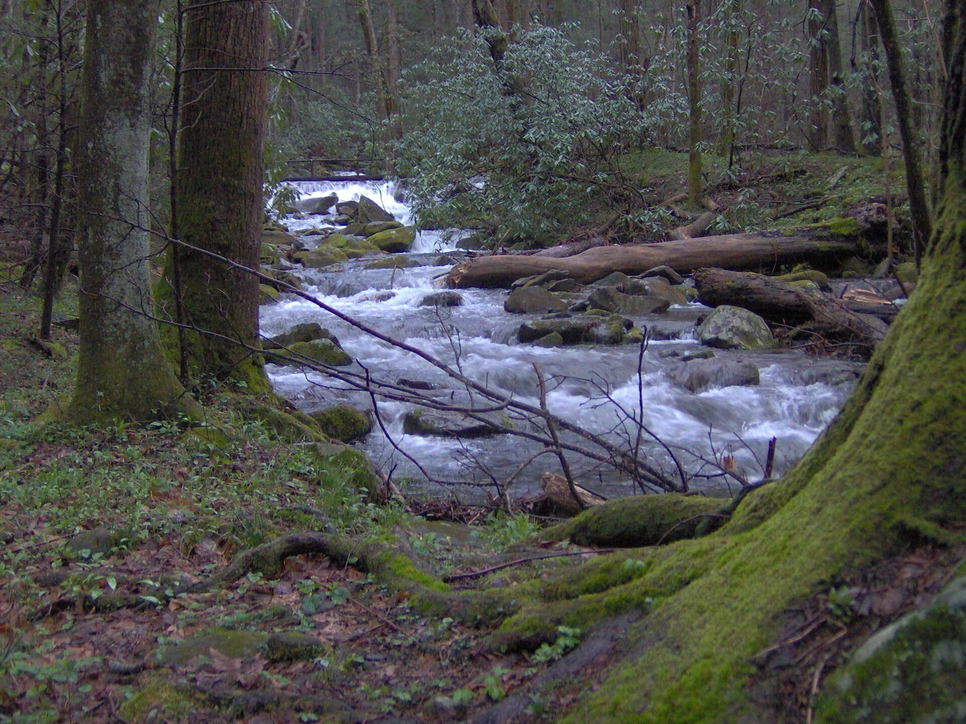 Smoky Mountains bachelorette party cabins