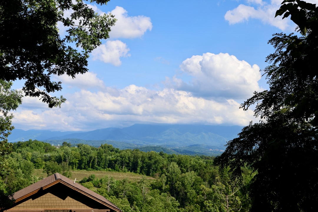 Smoky Mountains elopement cabin
