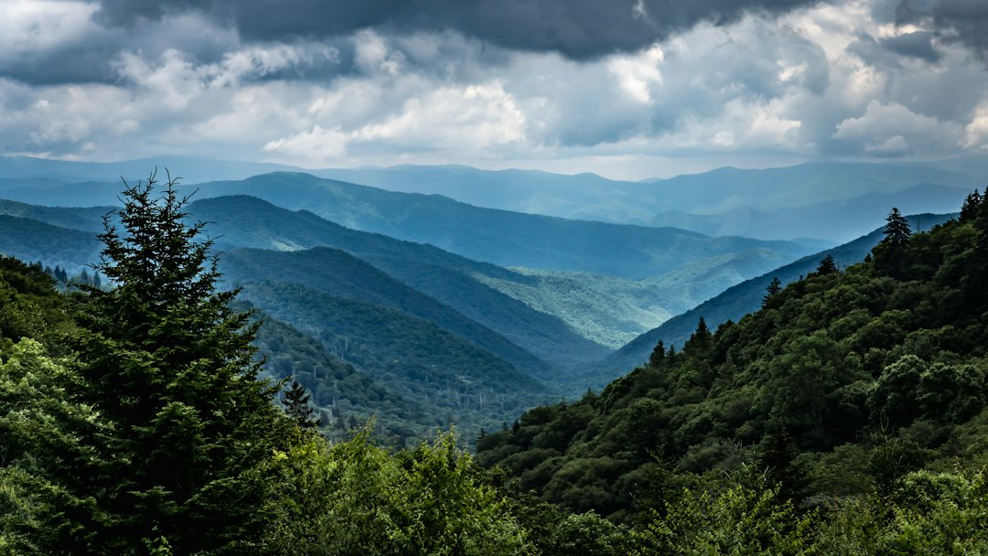 Airbnb vs Vrbo vs local Smoky Mountains rental companies