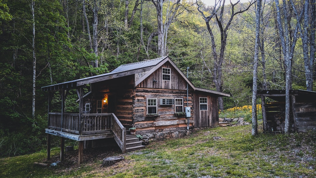 Airbnb vs Vrbo vs local Smoky Mountains rental companies