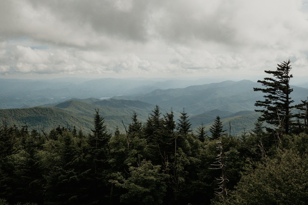 Gatlinburg vs Pigeon Forge