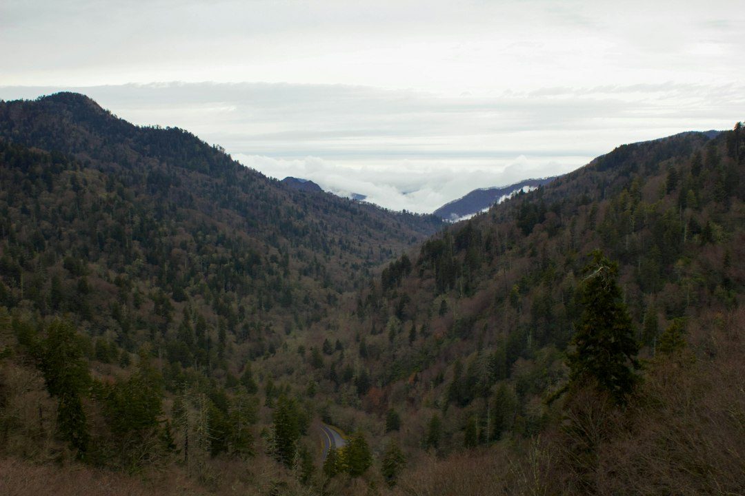 Cades Cove Campground